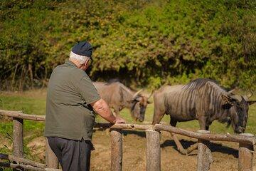 Explore Africa Park Safari Family Friendly Nature Tour