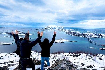 Tromsø Sommarøy Fjord Tour with Local Guide and Photos