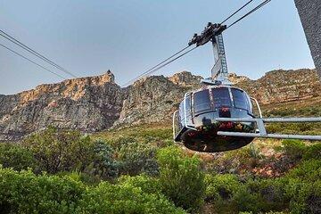 Table Mountain Kirstenbosch and Constantia Tour