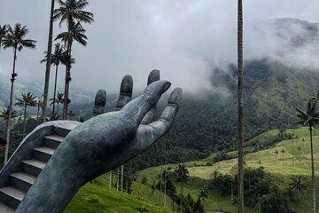 Cocora Valley Shared Tour from Salento