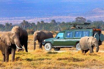 7 Day Adventure Tour to Sopa Lodges