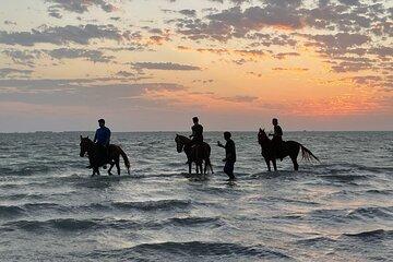 Horse Riding in Jeddah