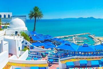 Sidi Bou Said Blue White Paradise Private Day Trip