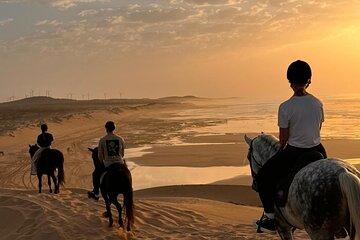 Essaouira Dar Sultan Palace Horseback Tour Experience