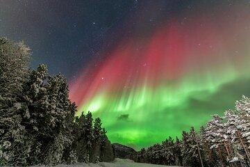 Night Tour and Northern Lights Hunting from Tromso
