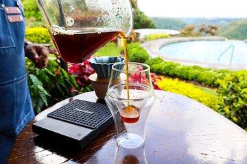 Coffee Experience Hacienda Los Molinos Panama's Finest Product