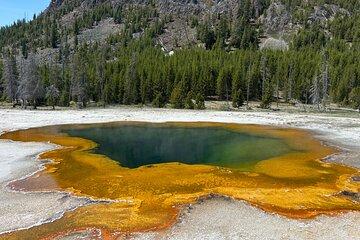 Private Yellowstone Park Van Tours from Bozeman and Big Sky