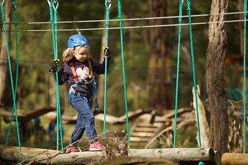 Launceston Hollybank Junior Tree Ropes Course