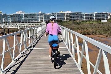 Beach Breeze on E-Bike Rental
