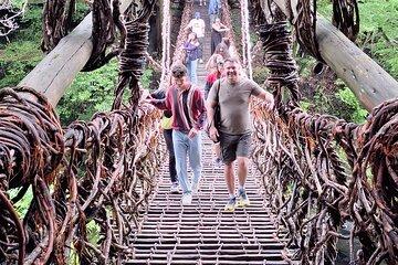 Kochi Shore Excursion Tour by Private Car