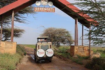 3 Day Group Tour to Serengeti Ngorongoro