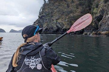 Resurrection Bay Waterfall And Rainforest Adventure