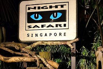 Night Safari