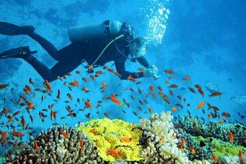 Nha Trang Island Tour