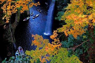 Miyazaki Takachiho Gorge Day Tour Shirakawa River Source