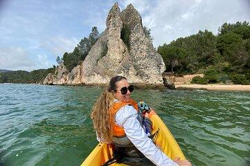 3 Hour Kayak Adventure on Sado River with Beach Picnic