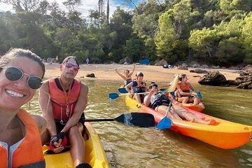 3 Hour Kayak Adventure on Sado River with Beach Picnic