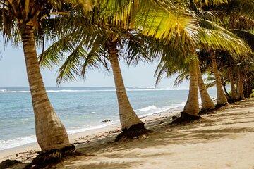 Upolu: Private Tour - Beach, Waterfall and Ocean Trench