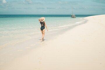 Zanzibar City Speedboat Private Transfer Adventure
