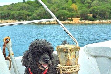 Brijuni National Park Boat Tour Experience