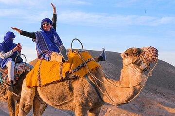 Camel Ride 2 Hours Through the Desert With Transfer - Marsa Alam