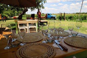 Flavors of Mendoza