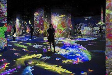 Private Abu Dhabi Day Trip with Mosque & TeamLab Phenomena Visit