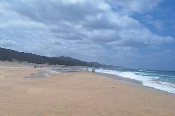 Shore Excursion : Safari & Surf - iSimangaliso Wetland Park