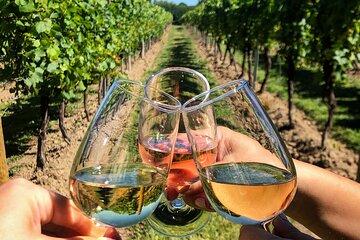 Rome Countryside Wine Tasting Tour with Private Driver and Guide