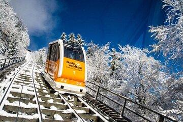 Vienna to Hallstatt and Alpine Peaks Day Trip with Skywalk Lift