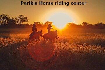 Sunset Landscape Horse riding in Paros