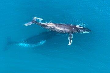 Noosa Marina Boat Trip Experience