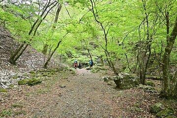 Hiking Adventures in Tokyo with English Speaking Guide