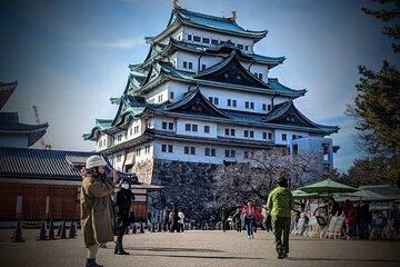 Osu Shopping Street Private Nagoya Tour Walk