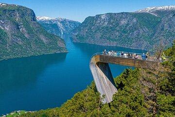 Day Roundtrip Oslo To Vøringsfossen Stegastein and Flåm Railway