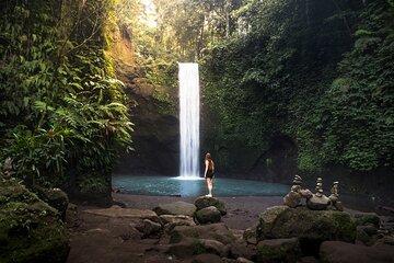 Best of Ubud Tours