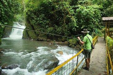 Mindo Cloudforest Full Day Private Tour Transportation from Quito