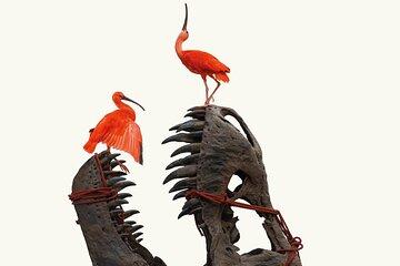 Art Zoo Museum Amsterdam Tickets