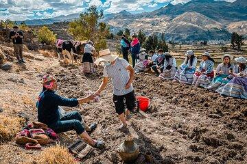 2 Days Colca Living Experience Nature Culture and Tradition