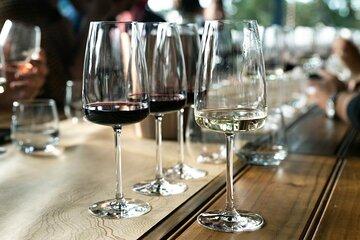 A Taste of Lisbon: Wine Tasting Experience