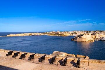 Cruise liner Deal Half Day Malta Private Tour