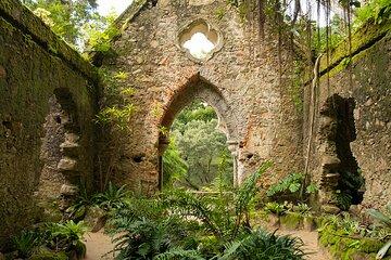 The Other Side of Sintra Forgotten Woods Private Tour