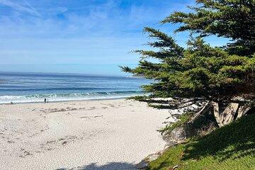 3 Days Private Pacific Tour to Big Sur Hearst Castle and more