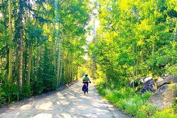 E-Bike & Brews: Denver's Platte River and Breweries E-Bike Tour