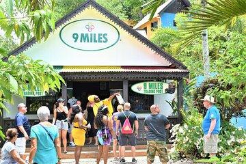 Bob Marley BirthPlace and Burial Site 9 Miles Jamaica