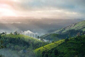5 Day Kerala Tour from Kochi with Houseboat Stay