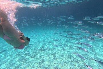Zadar Dugi Otok Tour to Sakarun and Crystal Waters, Hidden Coves