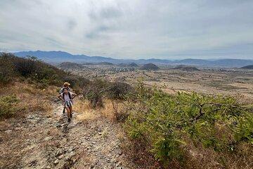 Private Half Day Hiking Experience in Picacho