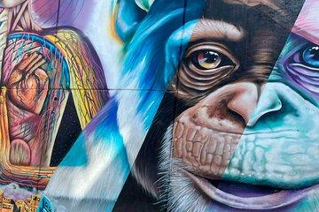 Commune Tour 13 Medellin Art History and Graffiti Class