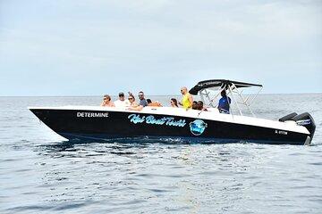 Experience Shared Boat Tours from Castries